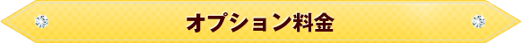 オプション料